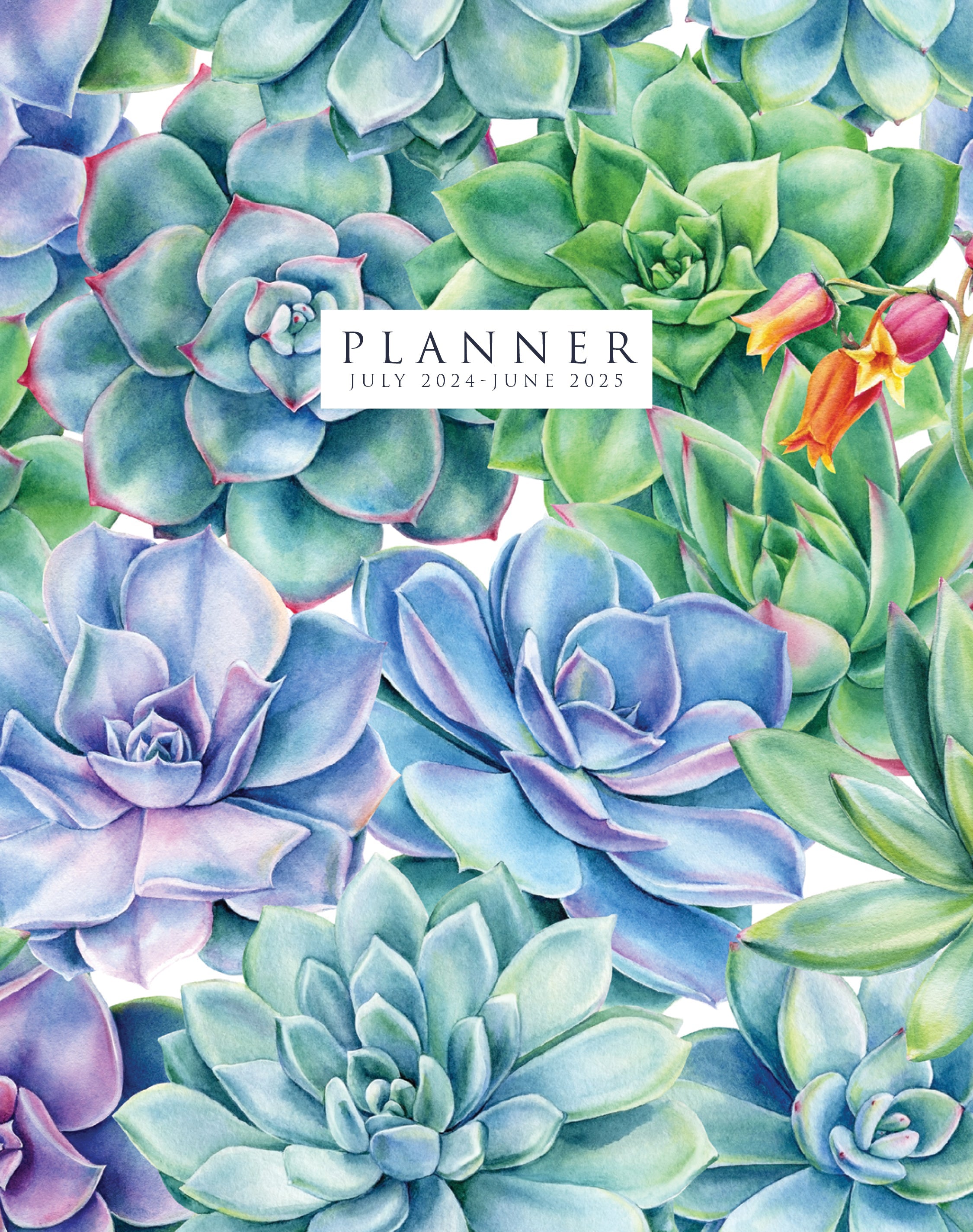 July 2024 - June 2025 Succulents - Monthly Academic Year Diary/Planner