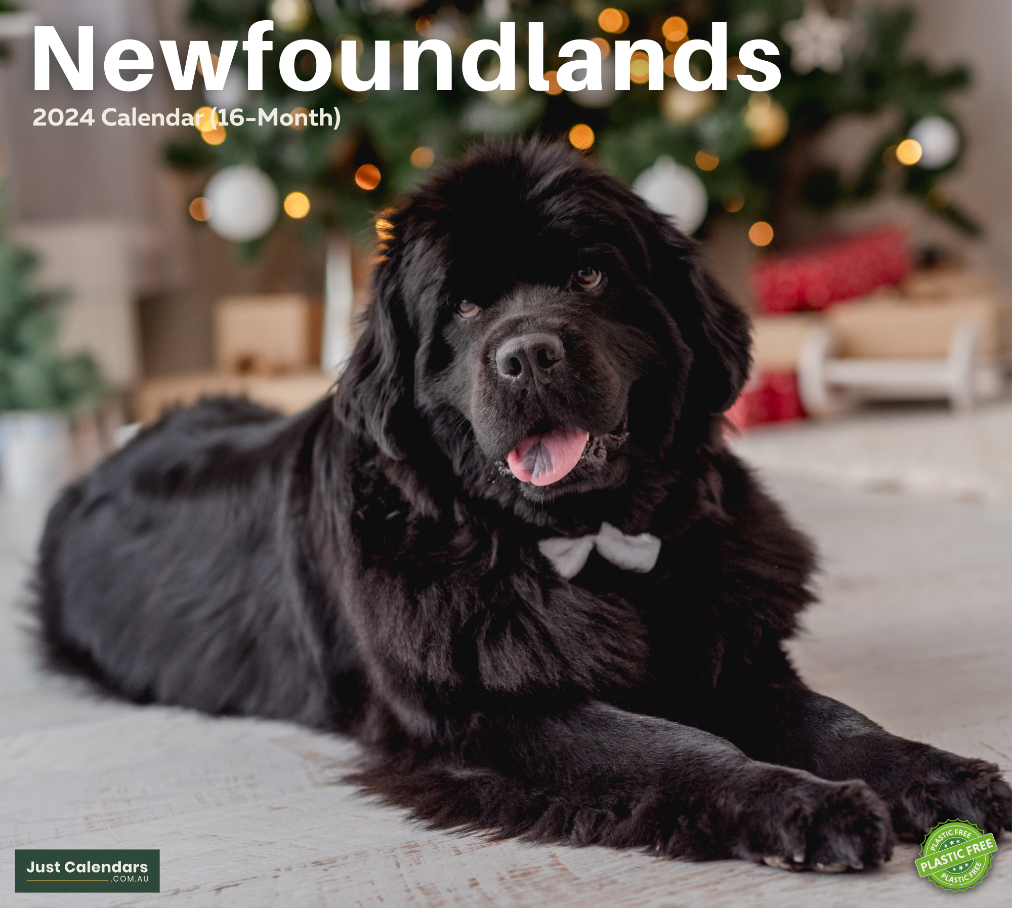 2024 Newfoundlands Dogs & Puppies - Deluxe Wall Calendar by Just Calendars - 16 Month - Plastic Free