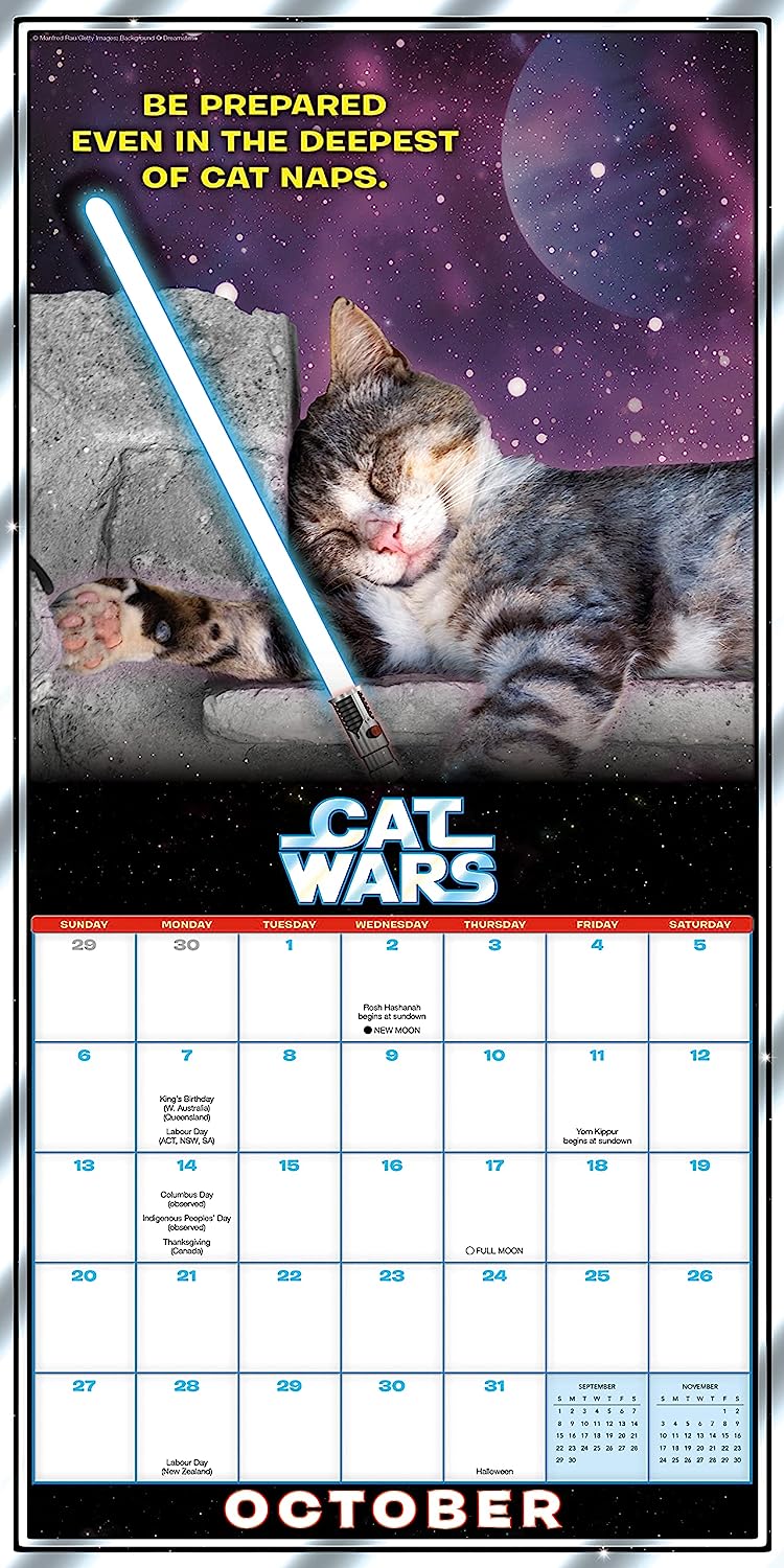 2024 Cat Wars - Square Wall Calendar  SOLD OUT