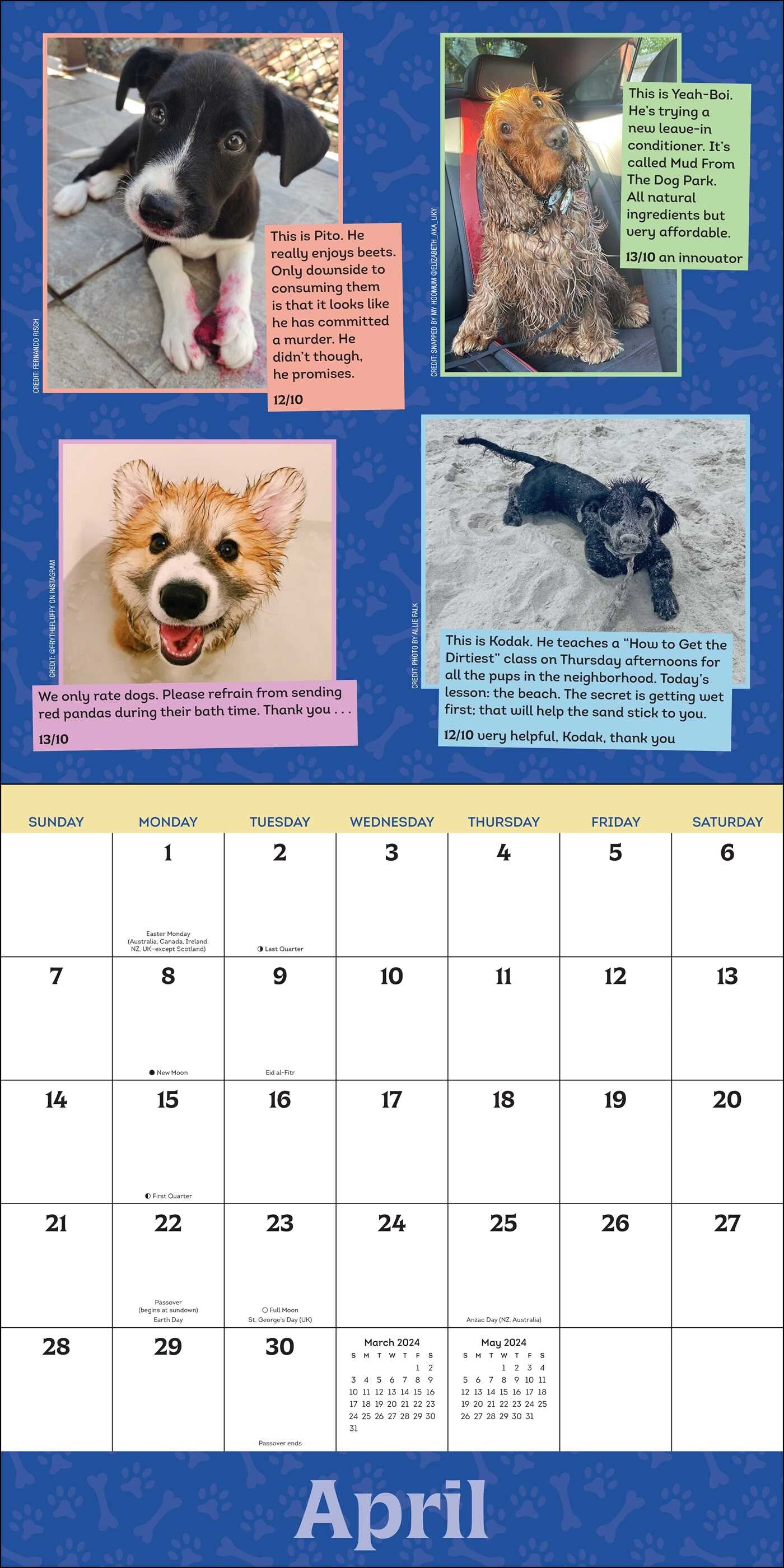 2024 We Rate Dogs Square Wall Calendar   9540d75b9fde9e4cf600d0b710104e6e 