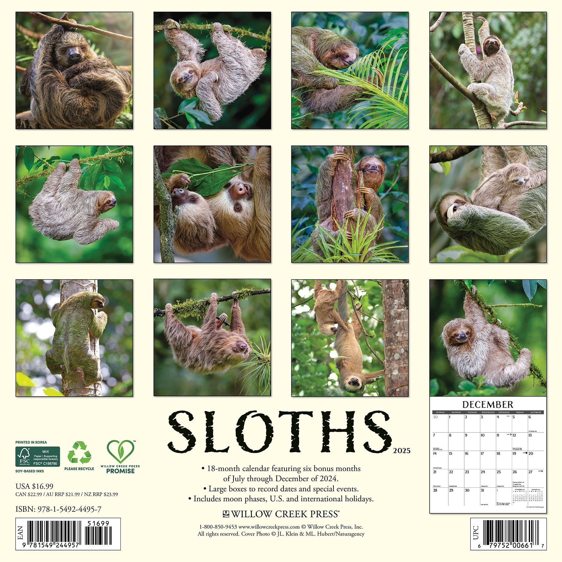 2025 Sloths - Square Wall Calendar (US Only)