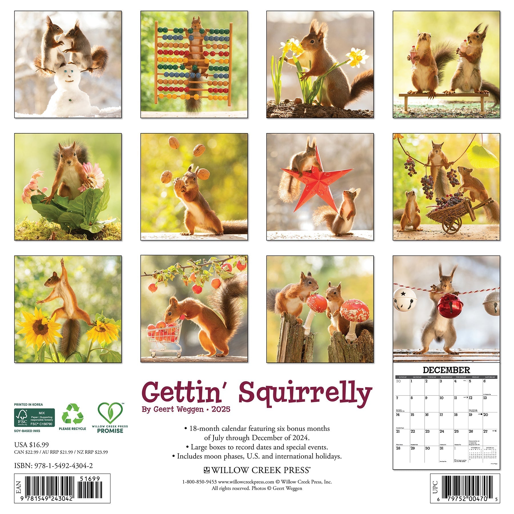 2025 Gettin' Squirrelly - Square Wall Calendar (US Only)