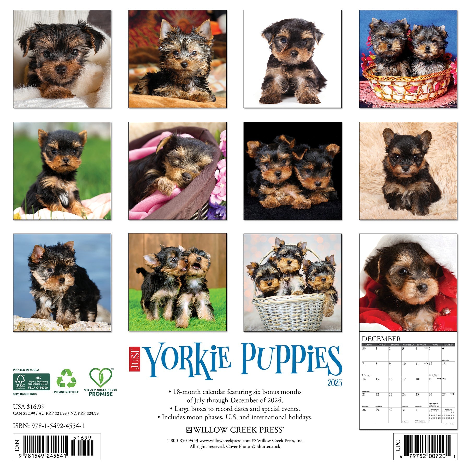 2025 Yorkie Puppies - Square Wall Calendar (US Only)