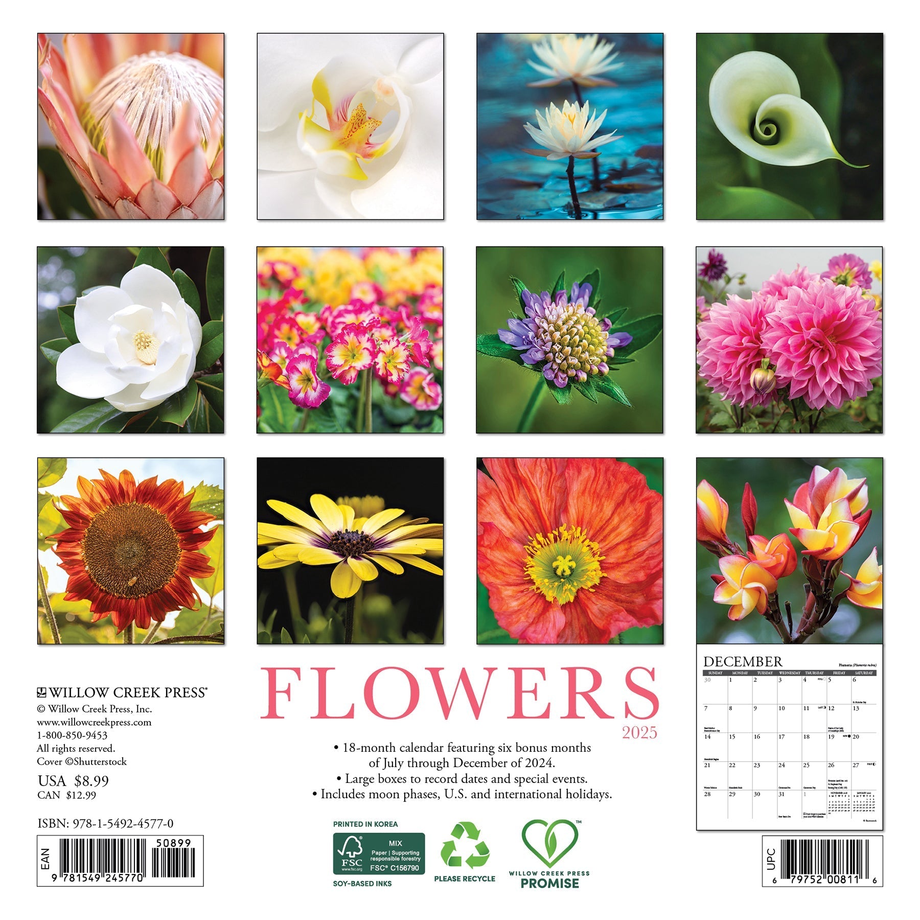 2025 Flowers - Mini Wall Calendar (US Only)