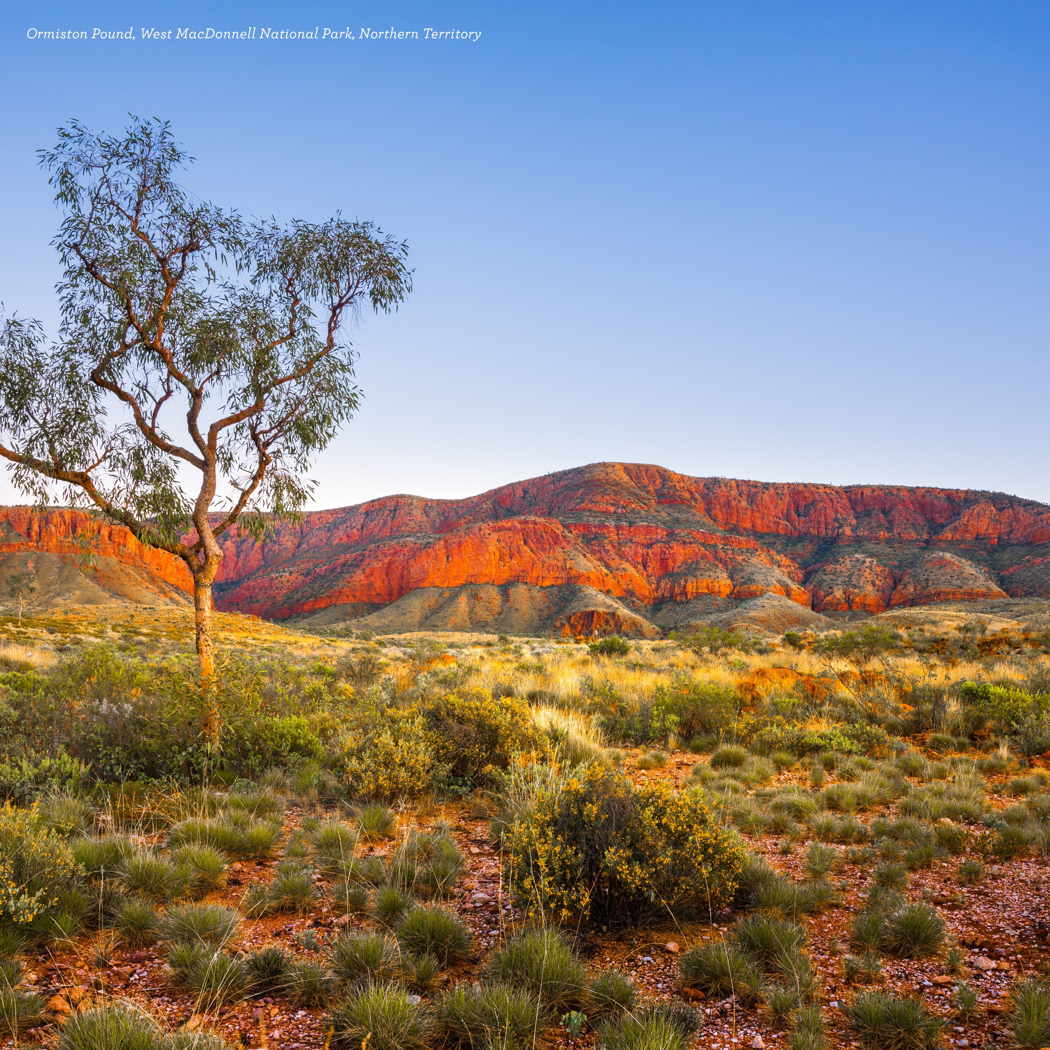 2025 Australia Raw Beauty - Square Wall Calendar