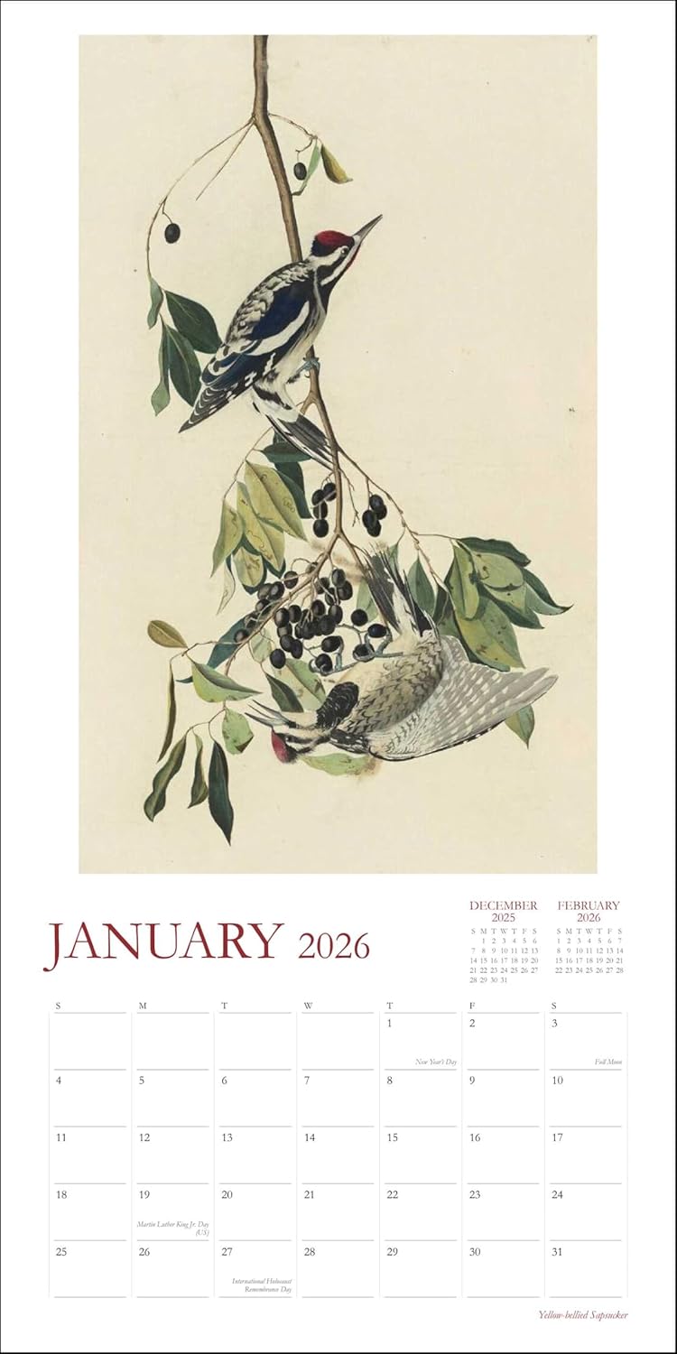 2026 Audubon's Watercolors - Square Wall Calendar