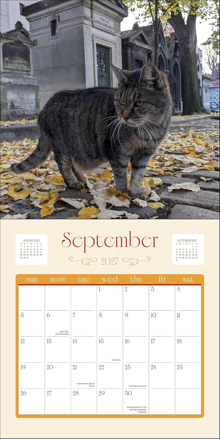 2027 Cats in Paris - Square Wall Calendar