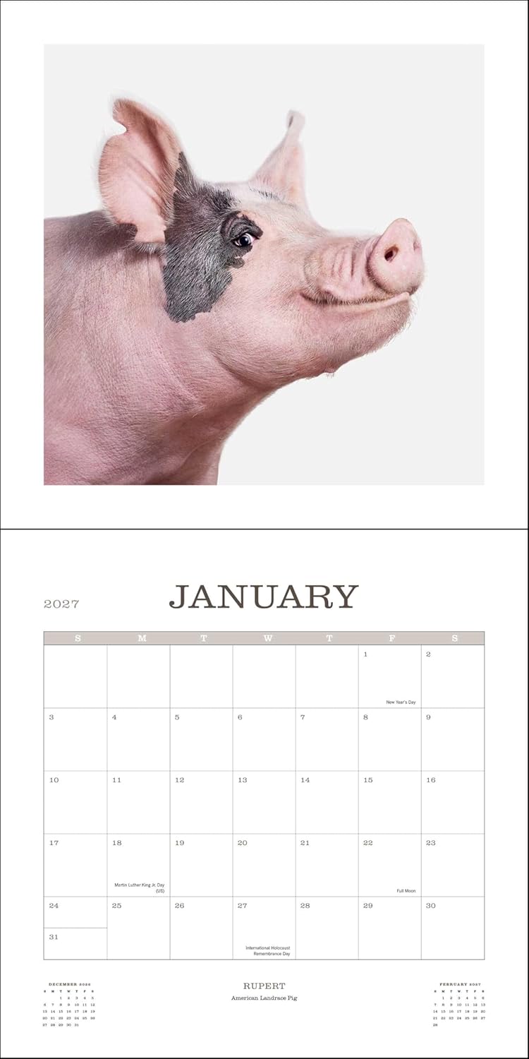 2027 Farm Life - Square Wall Calendar