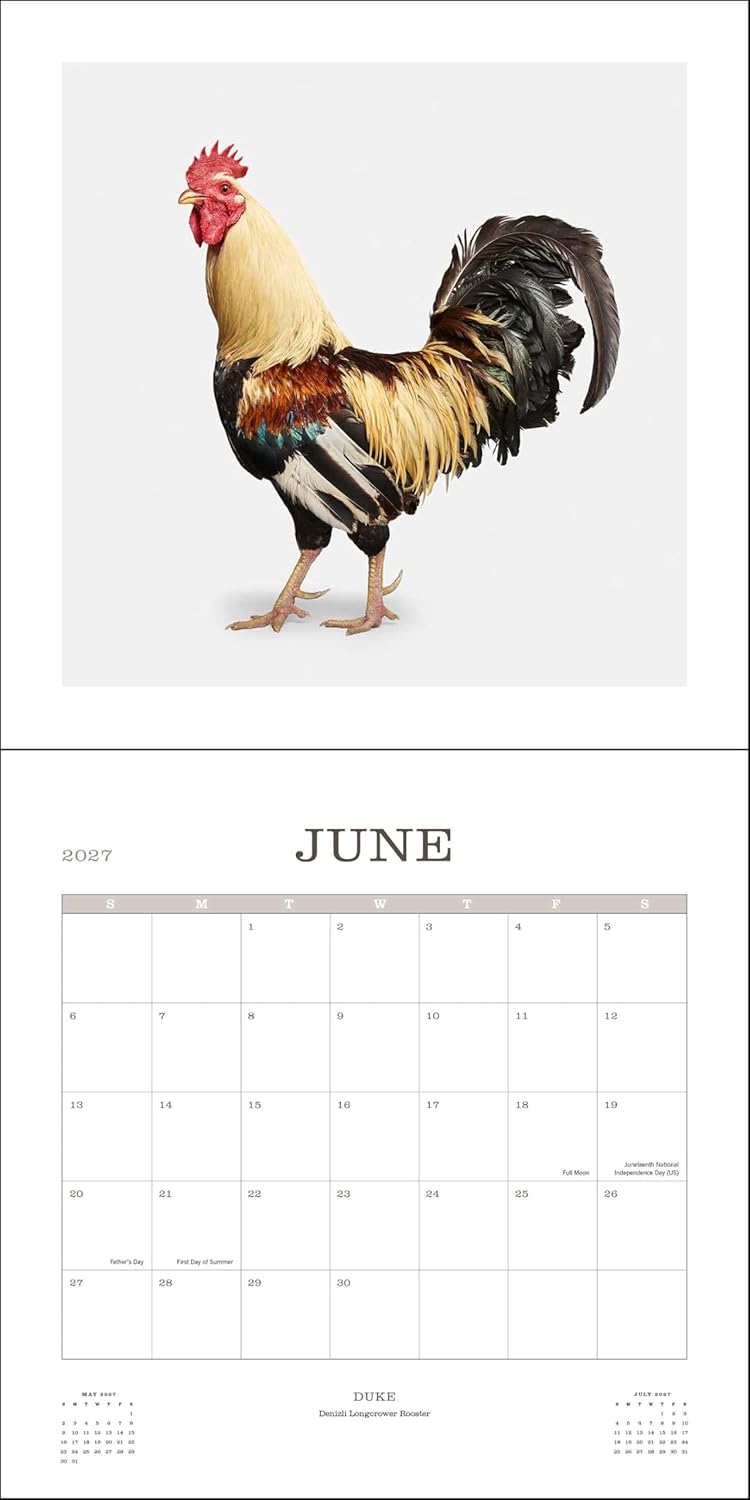 2027 Farm Life - Square Wall Calendar