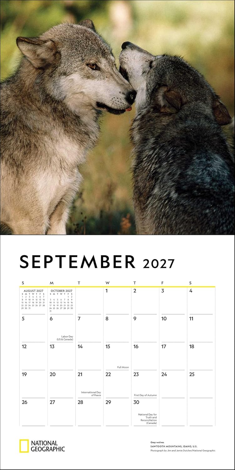 2027 Wolves: National Geographic - Square Wall Calendar