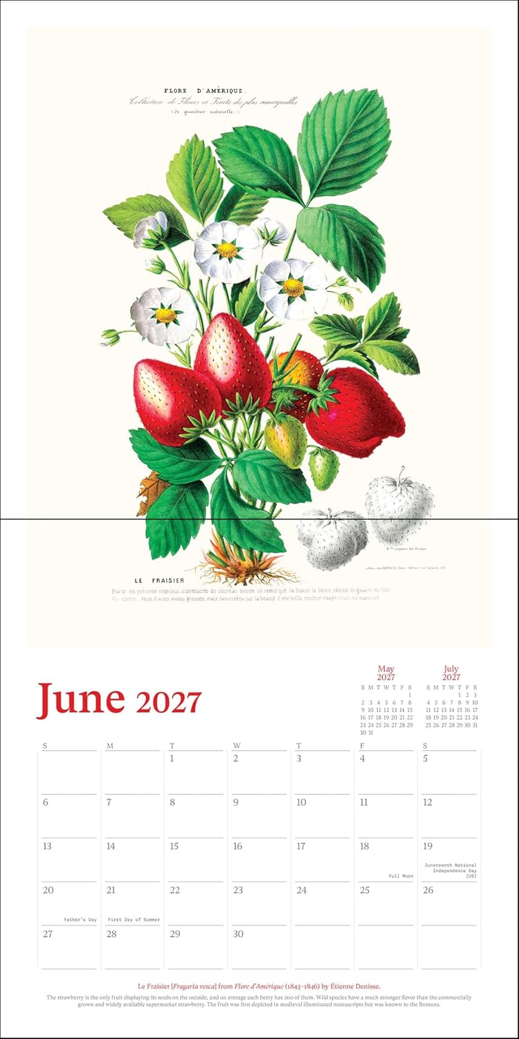 2027 New York Botanical Garden - Square Wall Calendar
