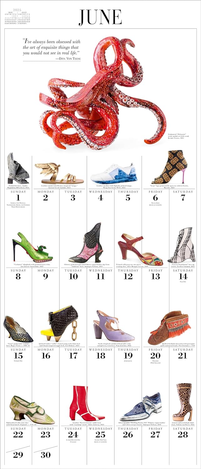 2025 365 Days of Shoes Picture-A-Day - Deluxe Wall Calendar