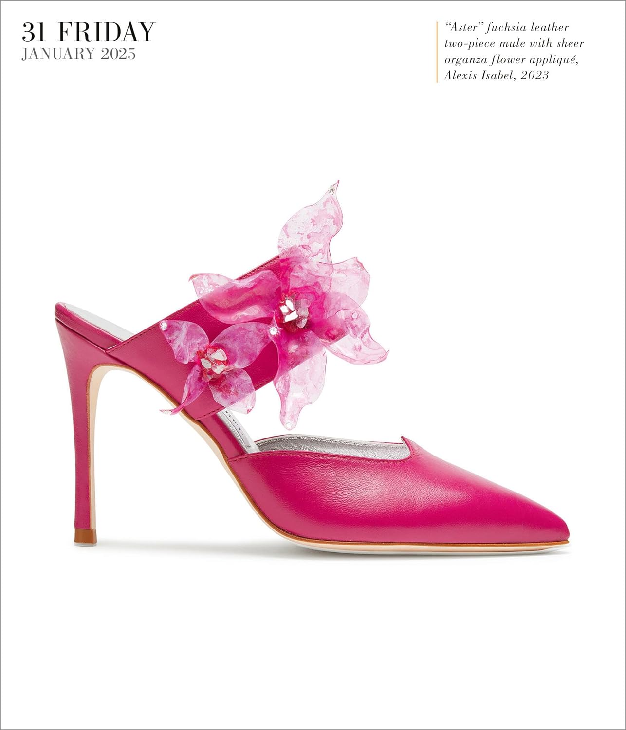 2025 Shoes - Daily Boxed Page-A-Day Calendar