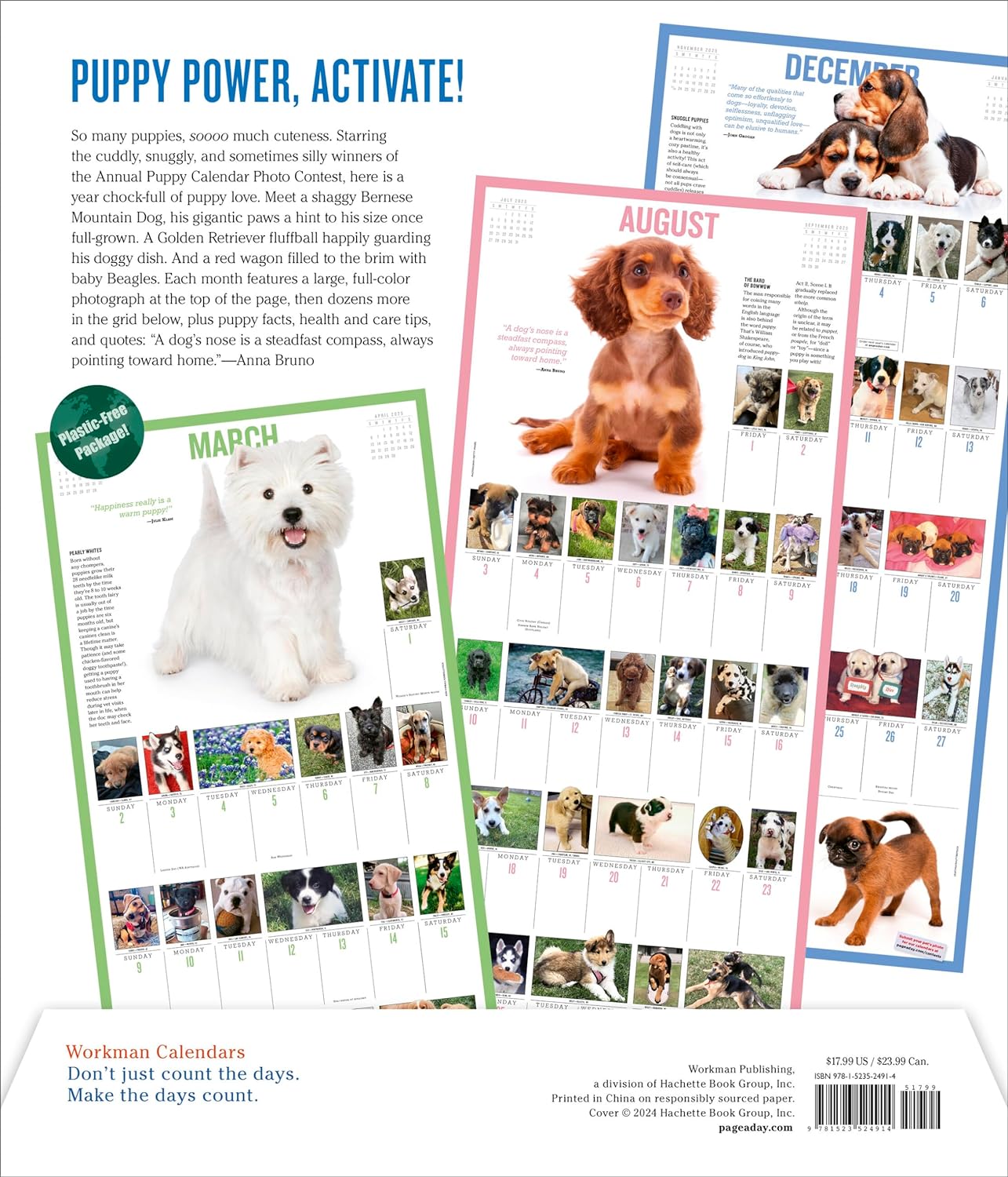 2025 365 Puppies-A-Year Picture-A-Day - Deluxe Wall Calendar