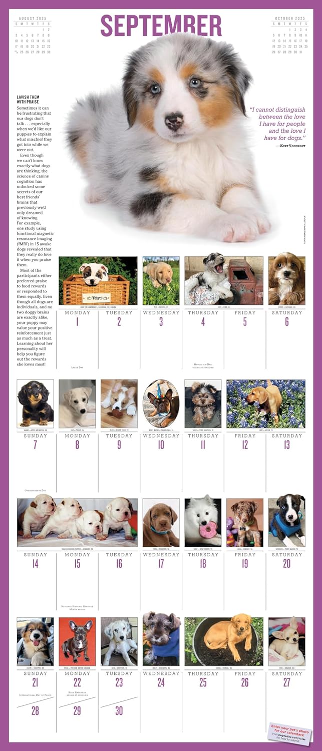 2025 365 Puppies-A-Year Picture-A-Day - Deluxe Wall Calendar