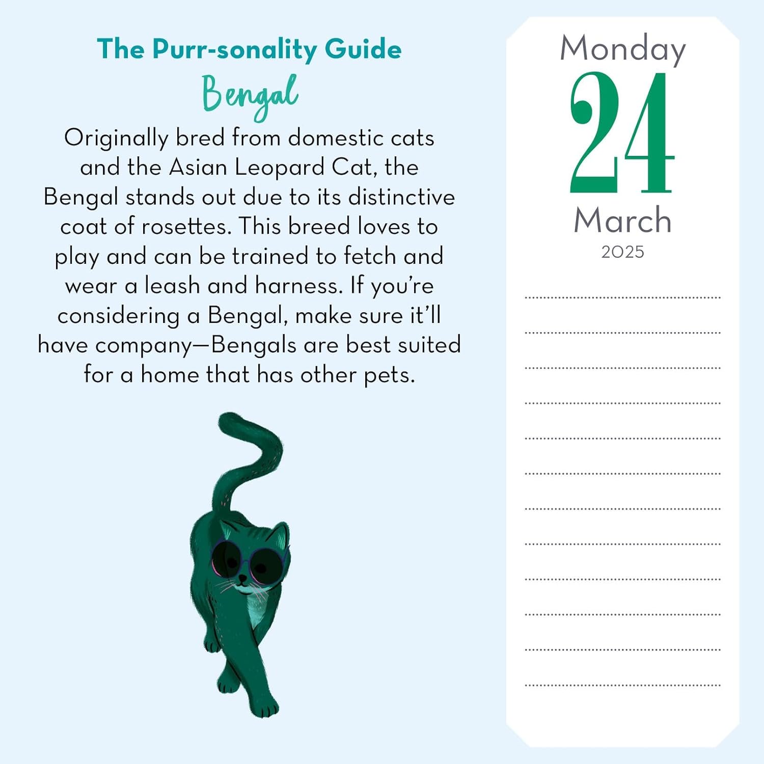 2025 Cat Trivia - Daily Boxed Page-A-Day Calendar