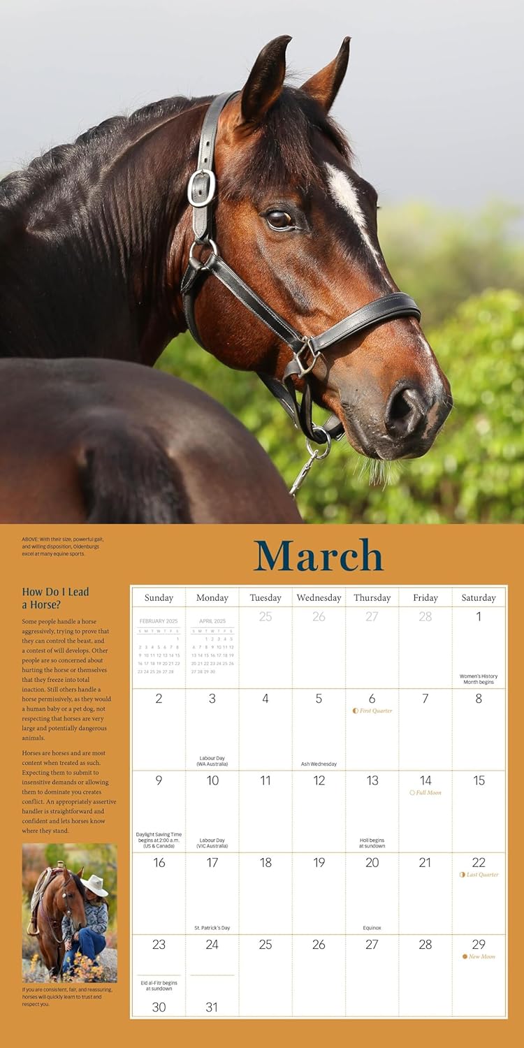 2025 How to Think Like a Horse - Square Wall Calendar