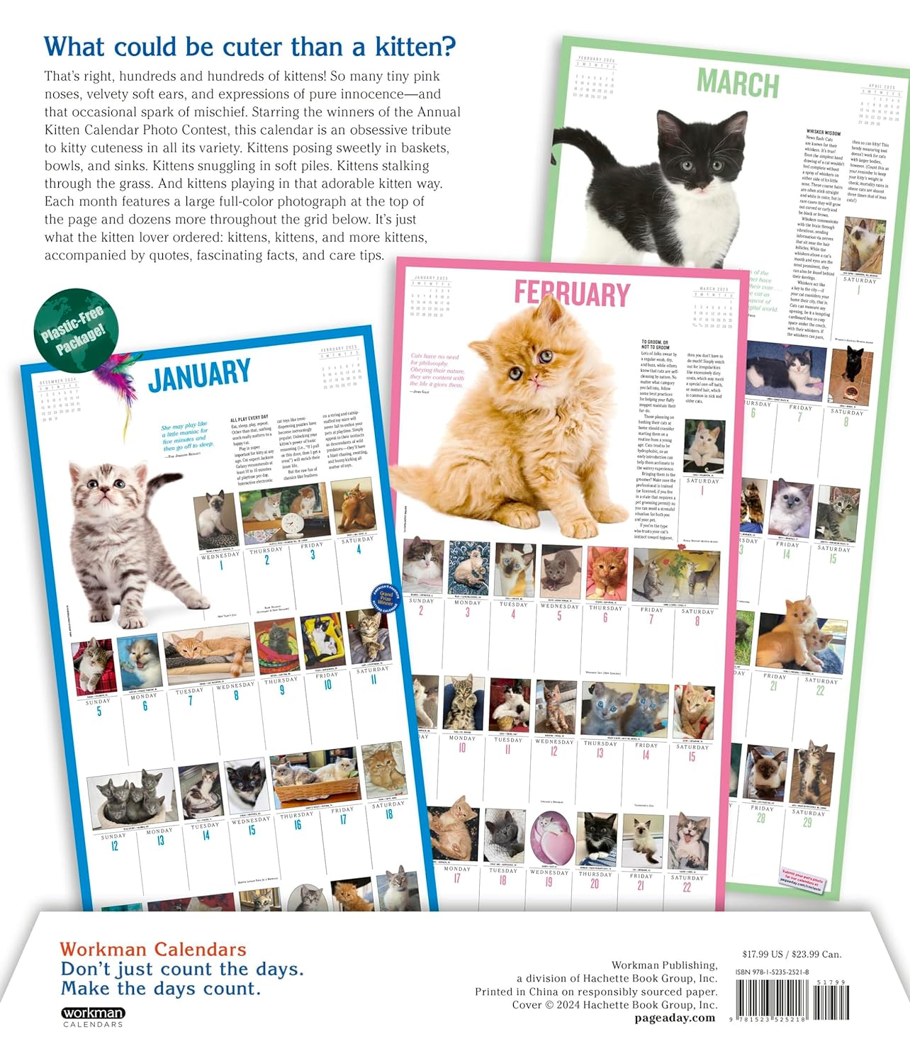 2025 365 Kittens-A-Year Picture-A-Day - Deluxe Wall Calendar