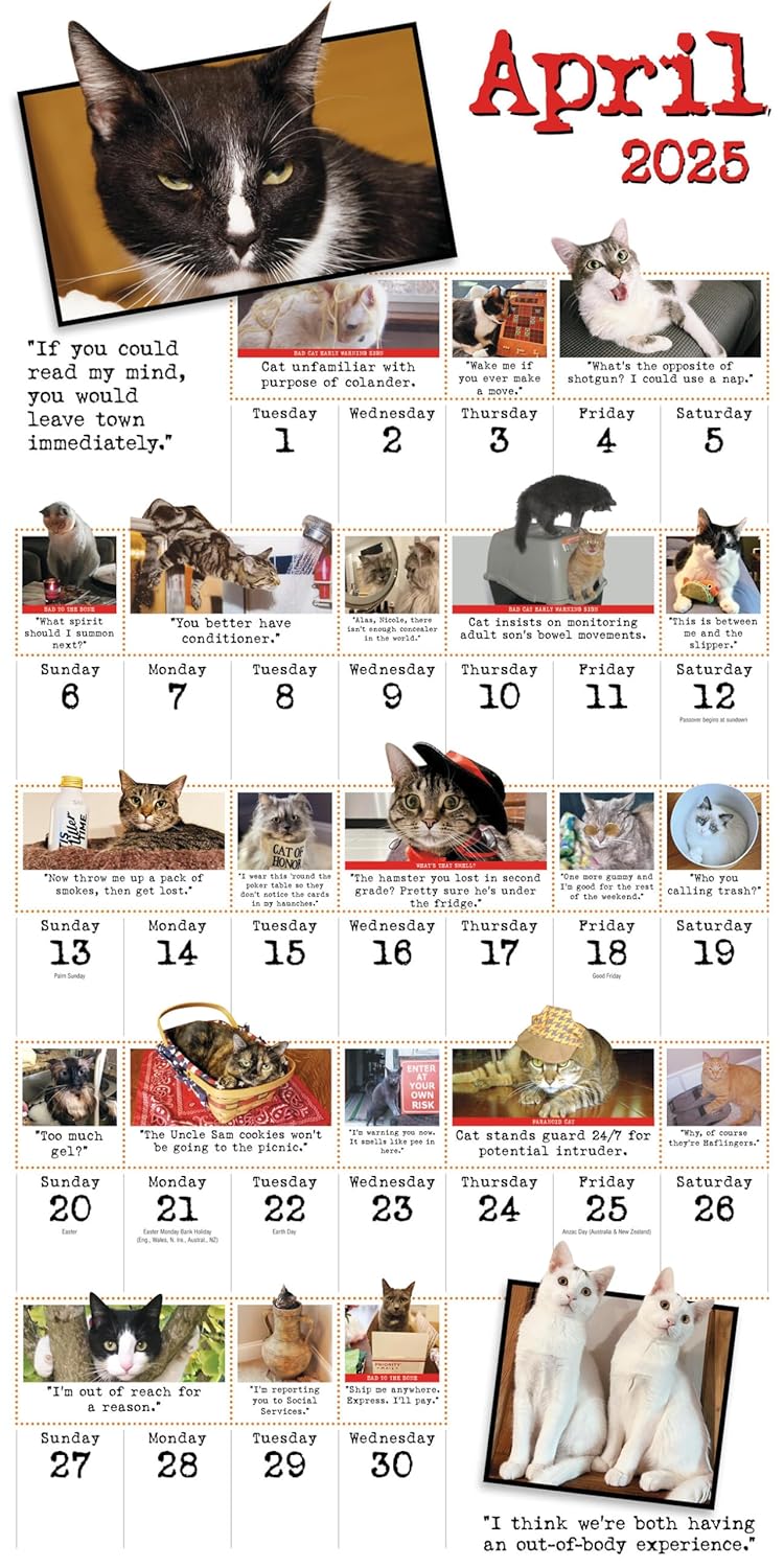 2025 Bad Cat - Square Wall Calendar