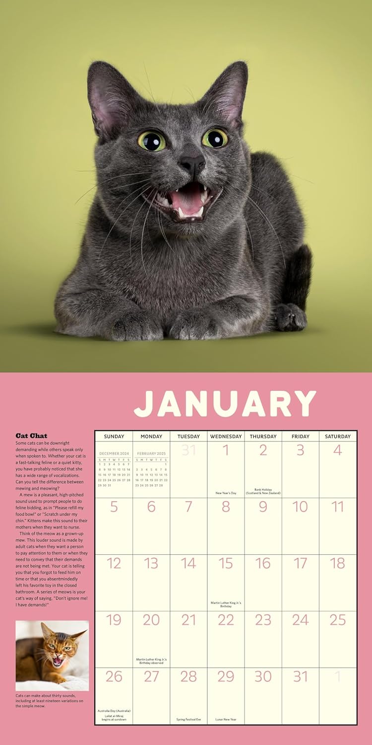 2025 How to Speak Cat - Square Wall Calendar