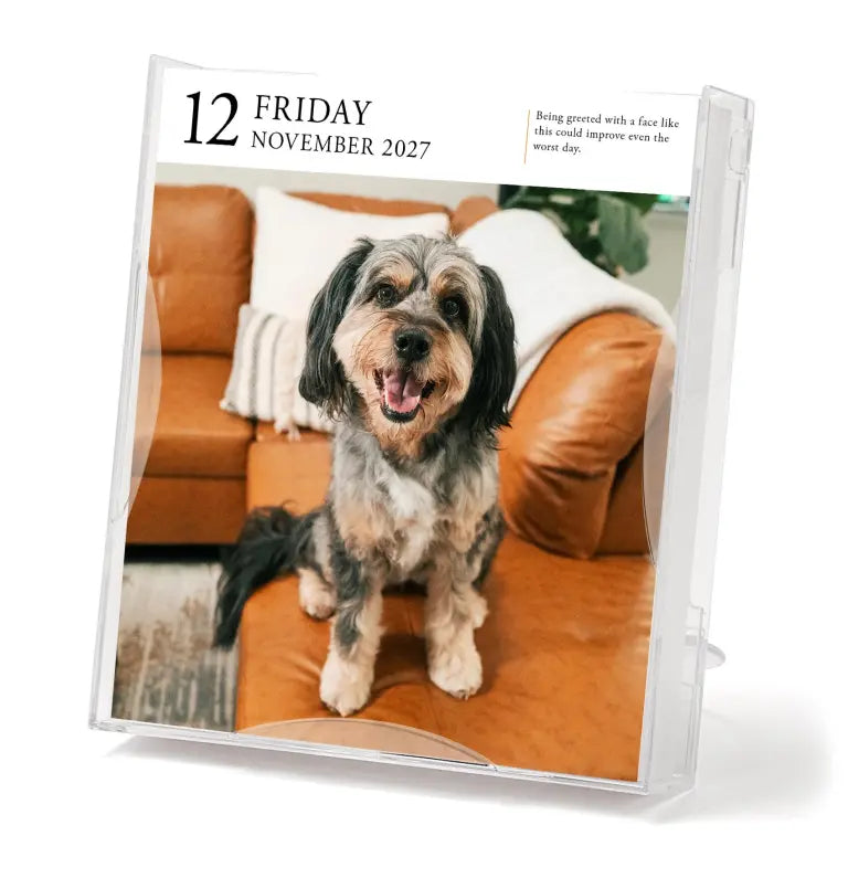 2027 Dog Gallery - Daily Boxed Page-A-Day Calendar
