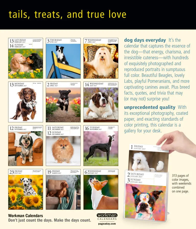 2027 Dog Gallery - Daily Boxed Page-A-Day Calendar