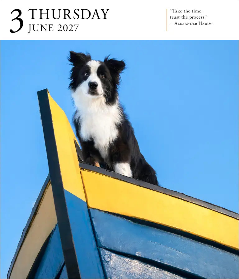 2027 Dog Gallery - Daily Boxed Page-A-Day Calendar