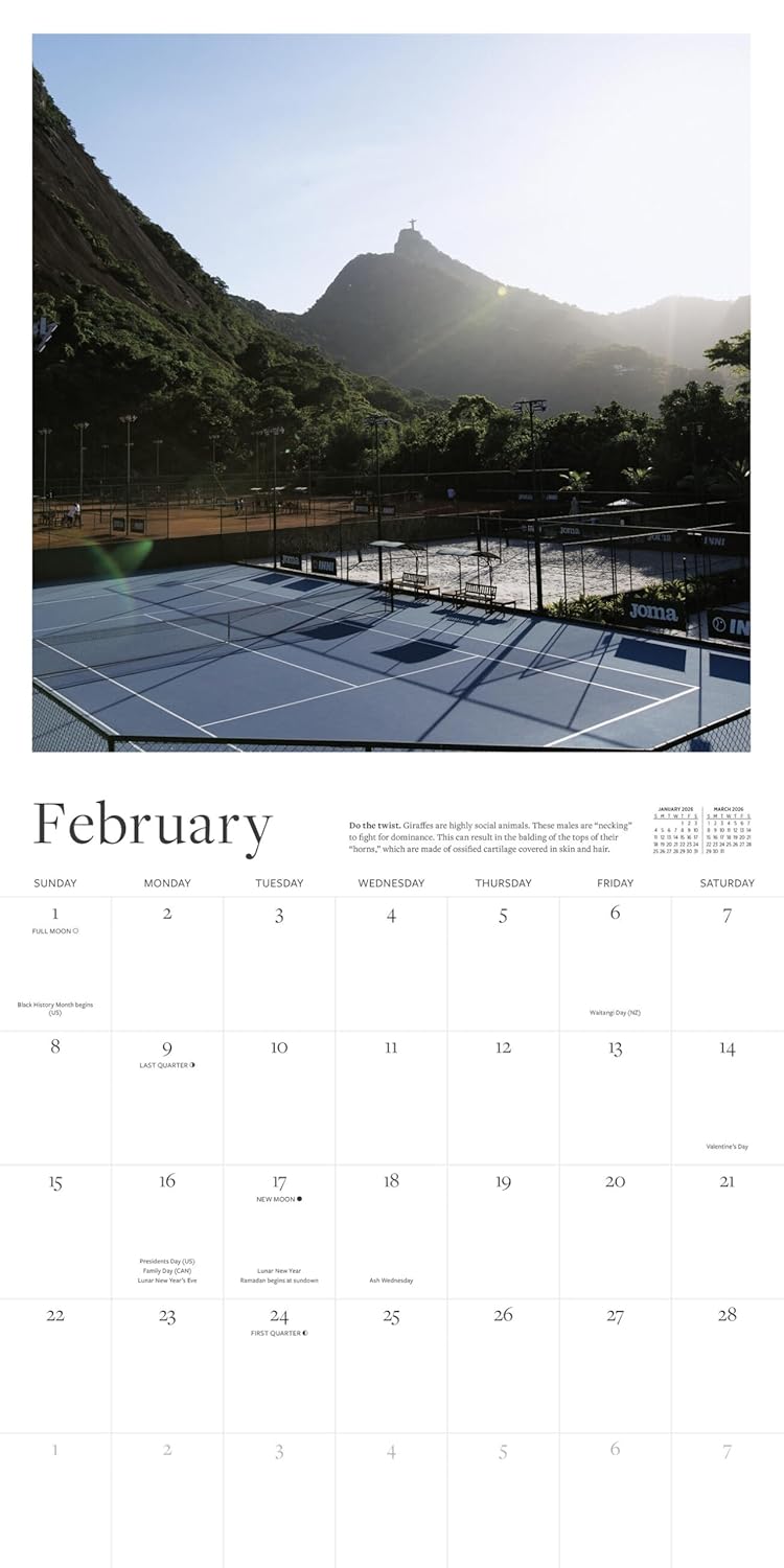 2026 The Tennis Court - Square Wall Calendar