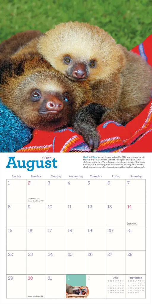 2027 Original Sloths - Square Wall Calendar