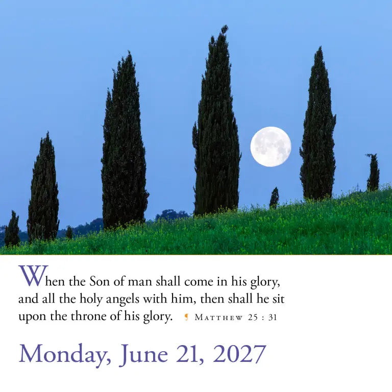 2027 365 Bible Verses-A-Year - Daily Boxed Page-A-Day Calendar