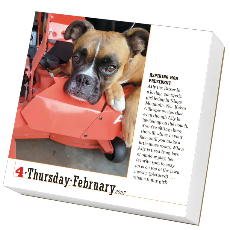 2027 365 Dogs - Daily Boxed Page-A-Day Calendar