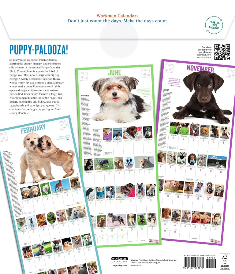 2027 365 Puppies-A-Year Picture-A-Day - Deluxe Wall Calendar