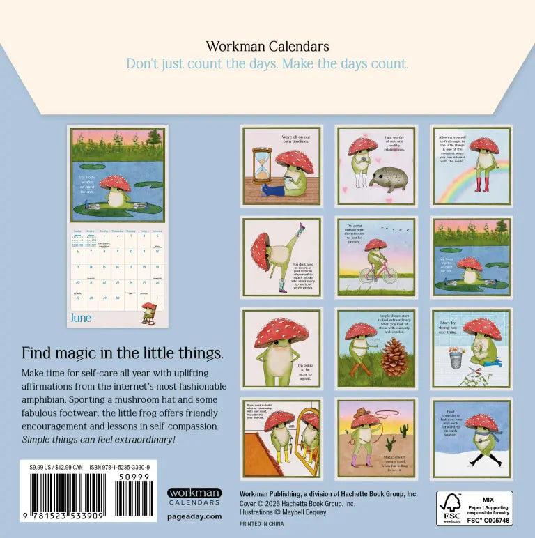 2027 Little Frog's Guide to Self-Care - Mini Wall Calendar