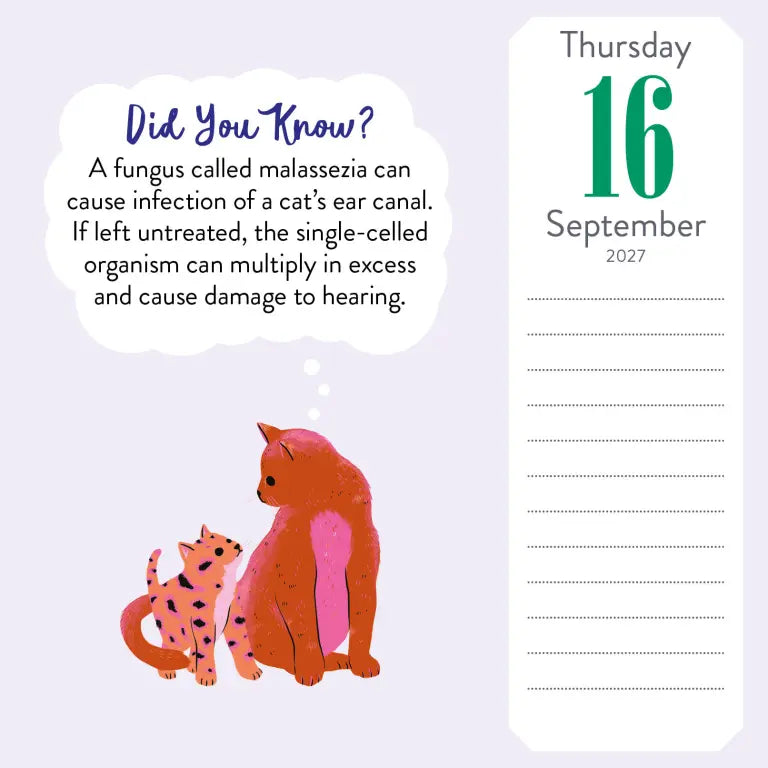 2027 Cat Trivia - Daily Boxed Page-A-Day Calendar
