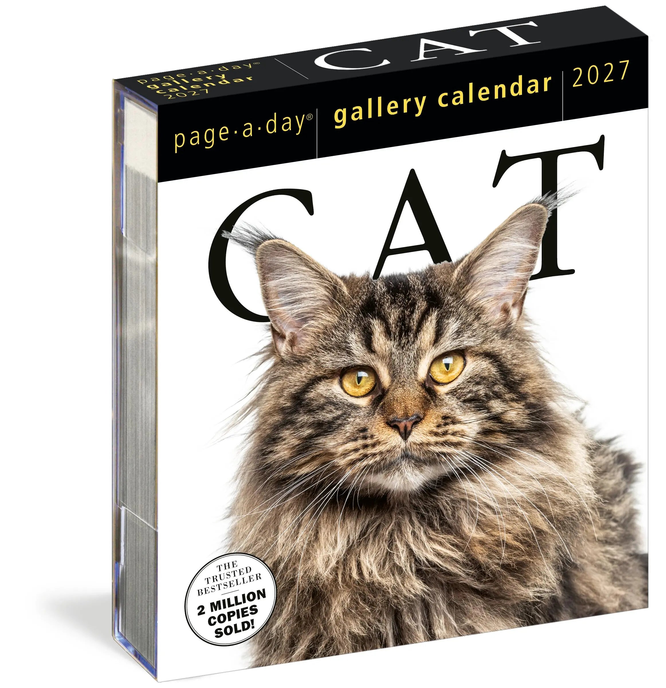 2027 Cat Gallery - Daily Boxed Page-A-Day Calendar