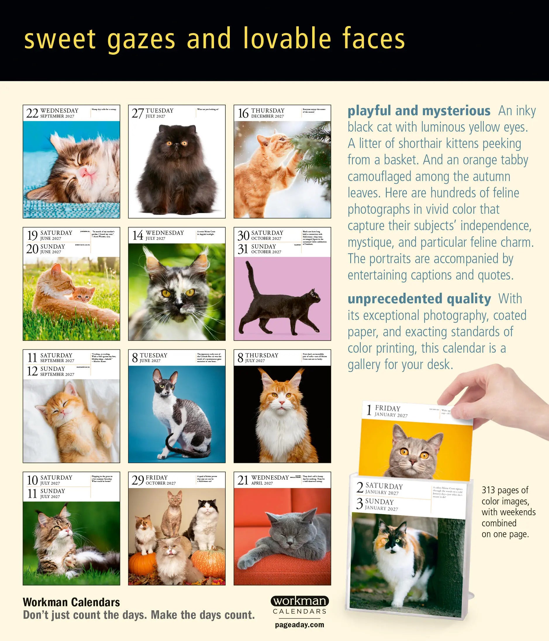 2027 Cat Gallery - Daily Boxed Page-A-Day Calendar