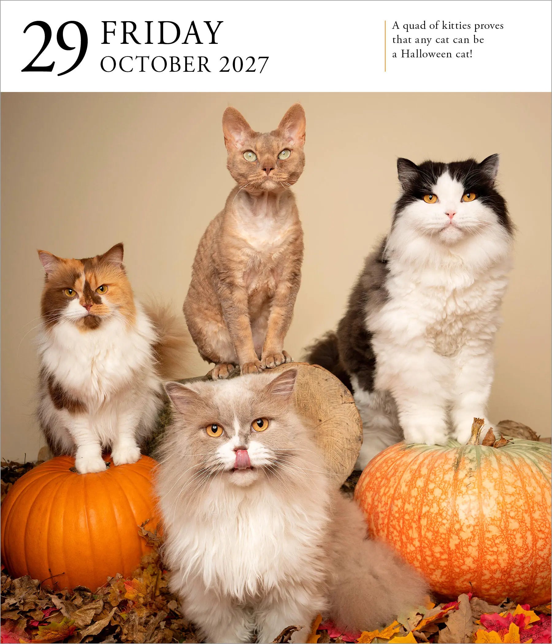 2027 Cat Gallery - Daily Boxed Page-A-Day Calendar