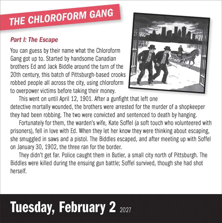 2027 Year of True Crime - Daily Boxed Page-A-Day Calendar
