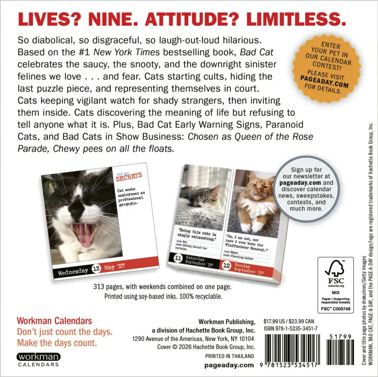 2027 Bad Cat - Daily Boxed Page-A-Day Calendar