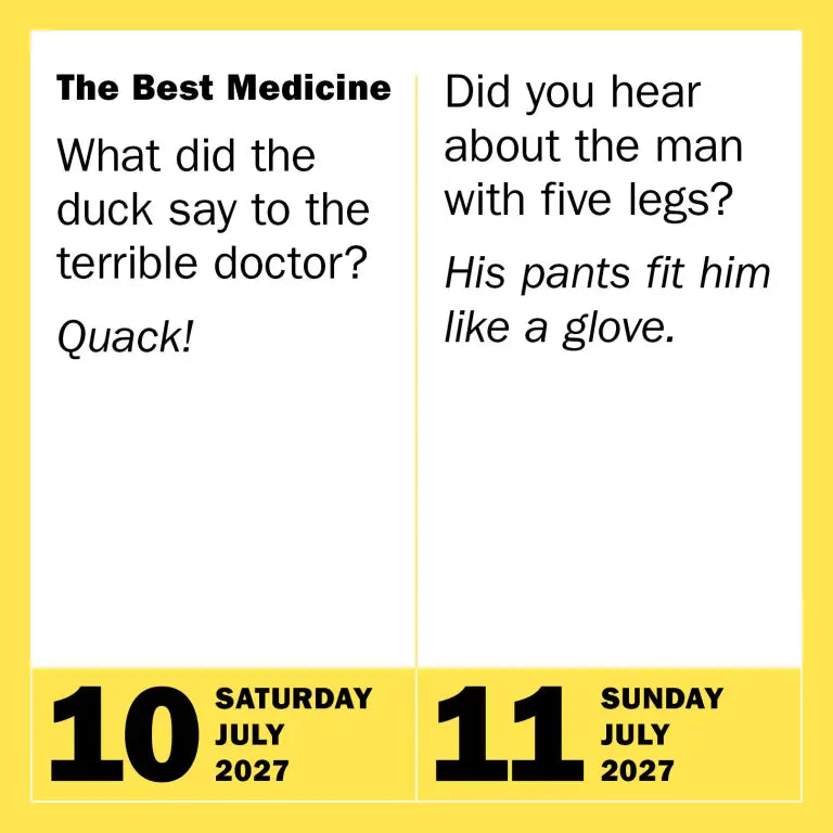 2027 290 Bad Jokes & 75 Punderful Puns - Daily Boxed Page-A-Day Calendar