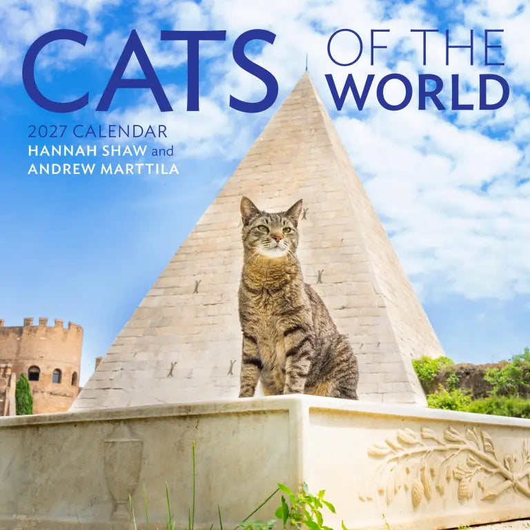 2027 Cats of the World - Square Wall Calendar