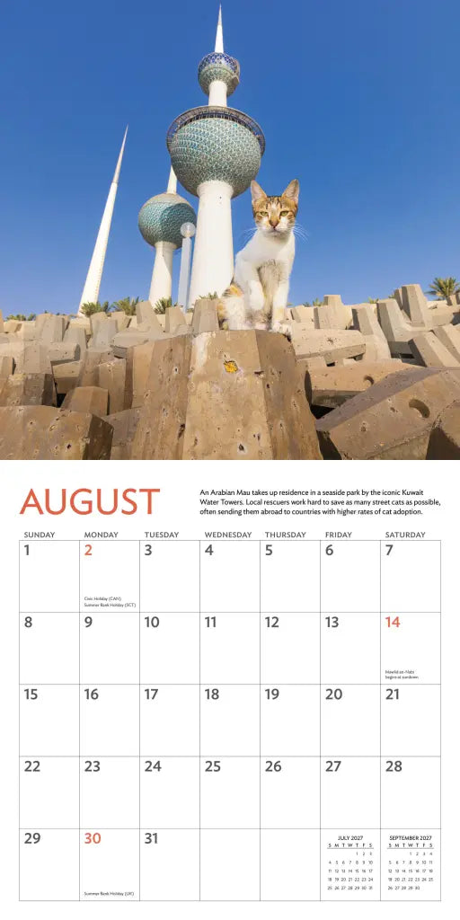 2027 Cats of the World - Square Wall Calendar
