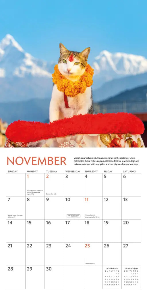2027 Cats of the World - Square Wall Calendar