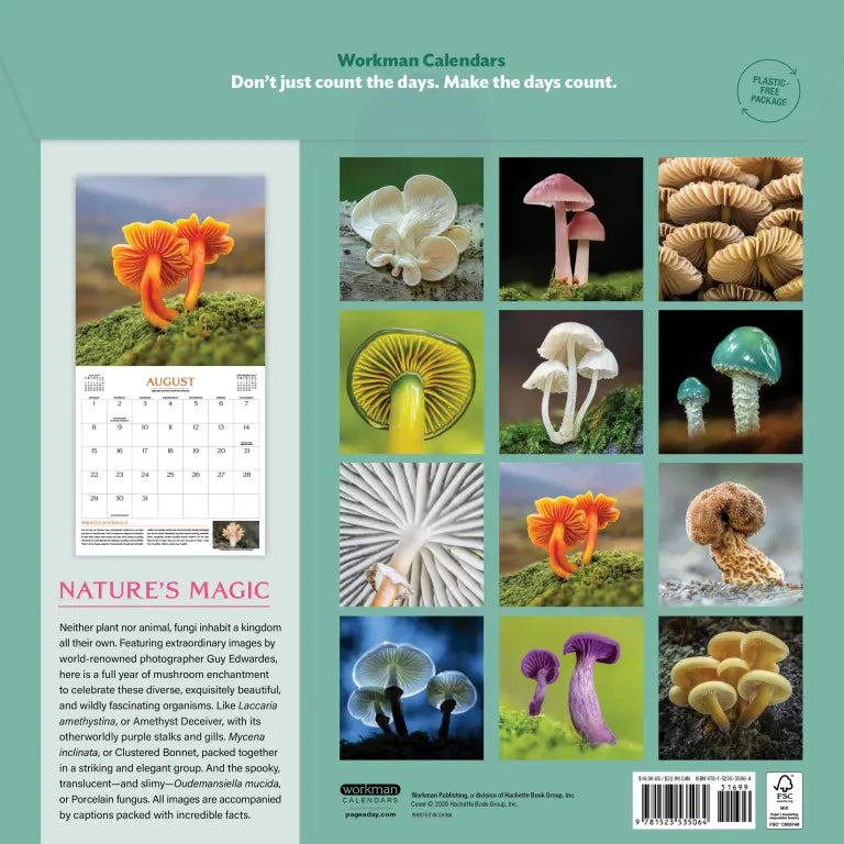 2027 Wondrous World of Mushrooms - Square Wall Calendar