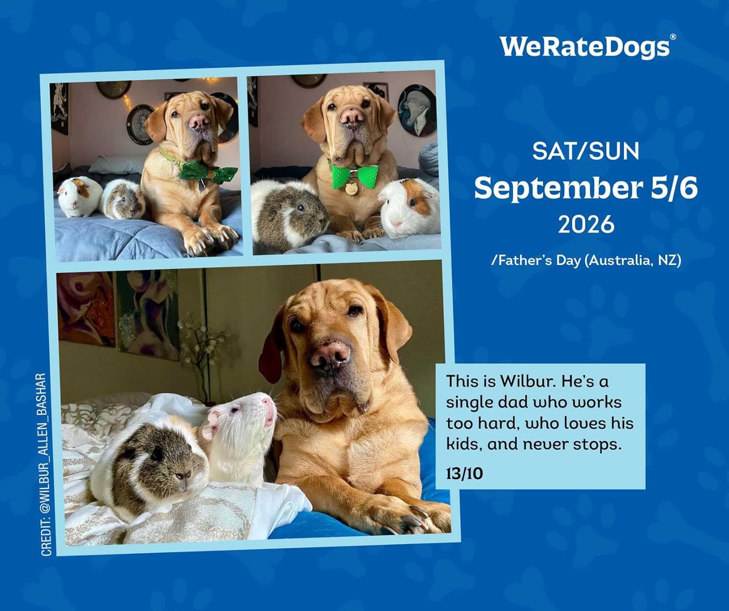 2026 WeRateDogs - Boxed Page-A-Day