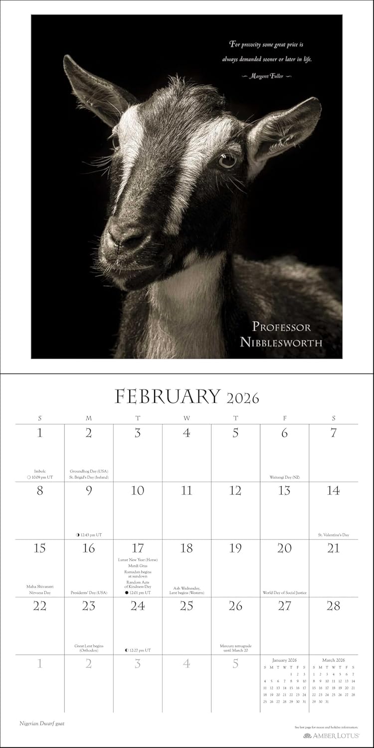 2026 I Am Goat - Square Wall Calendar