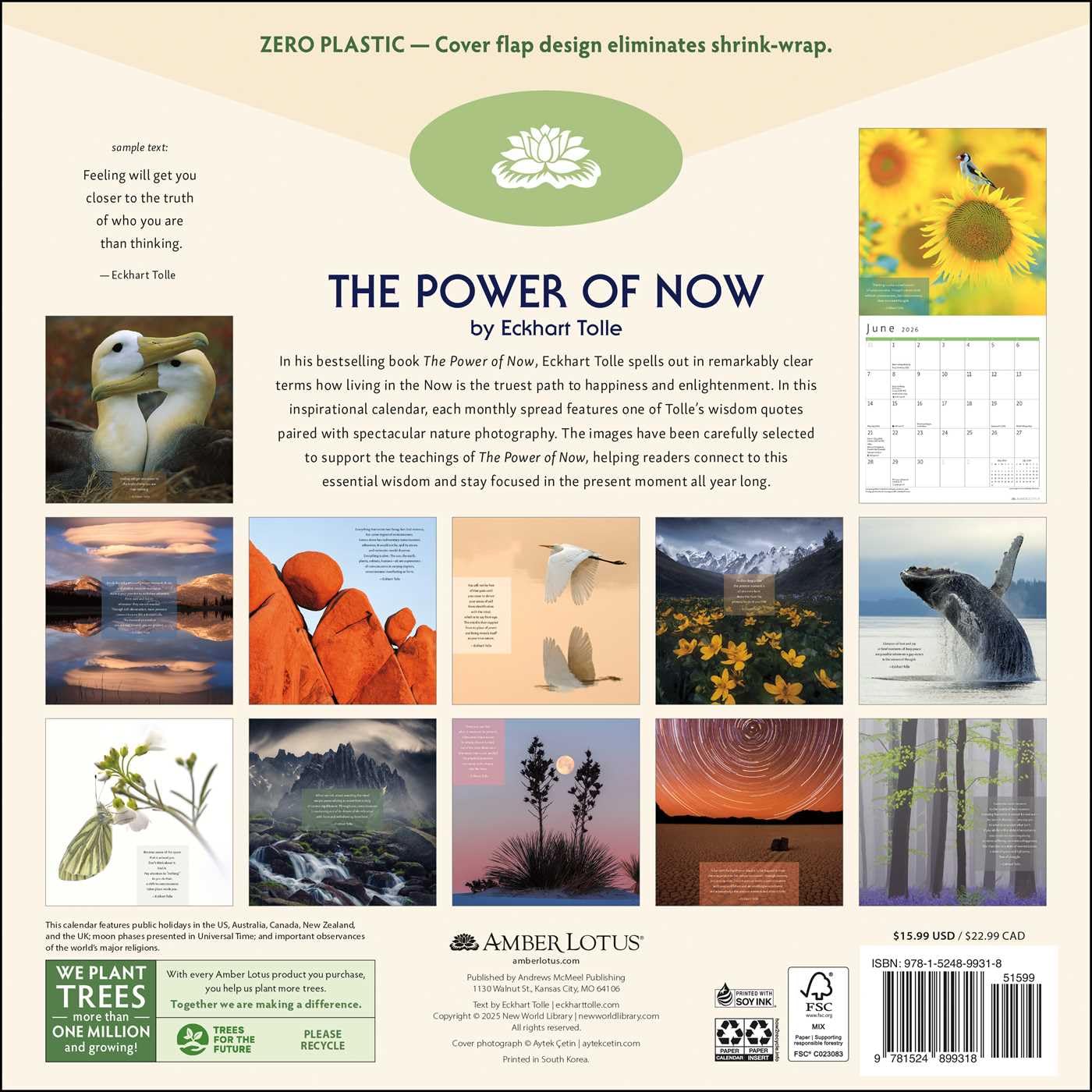 2026 Power of Now: Eckhart Tolle - Square Wall Calendar