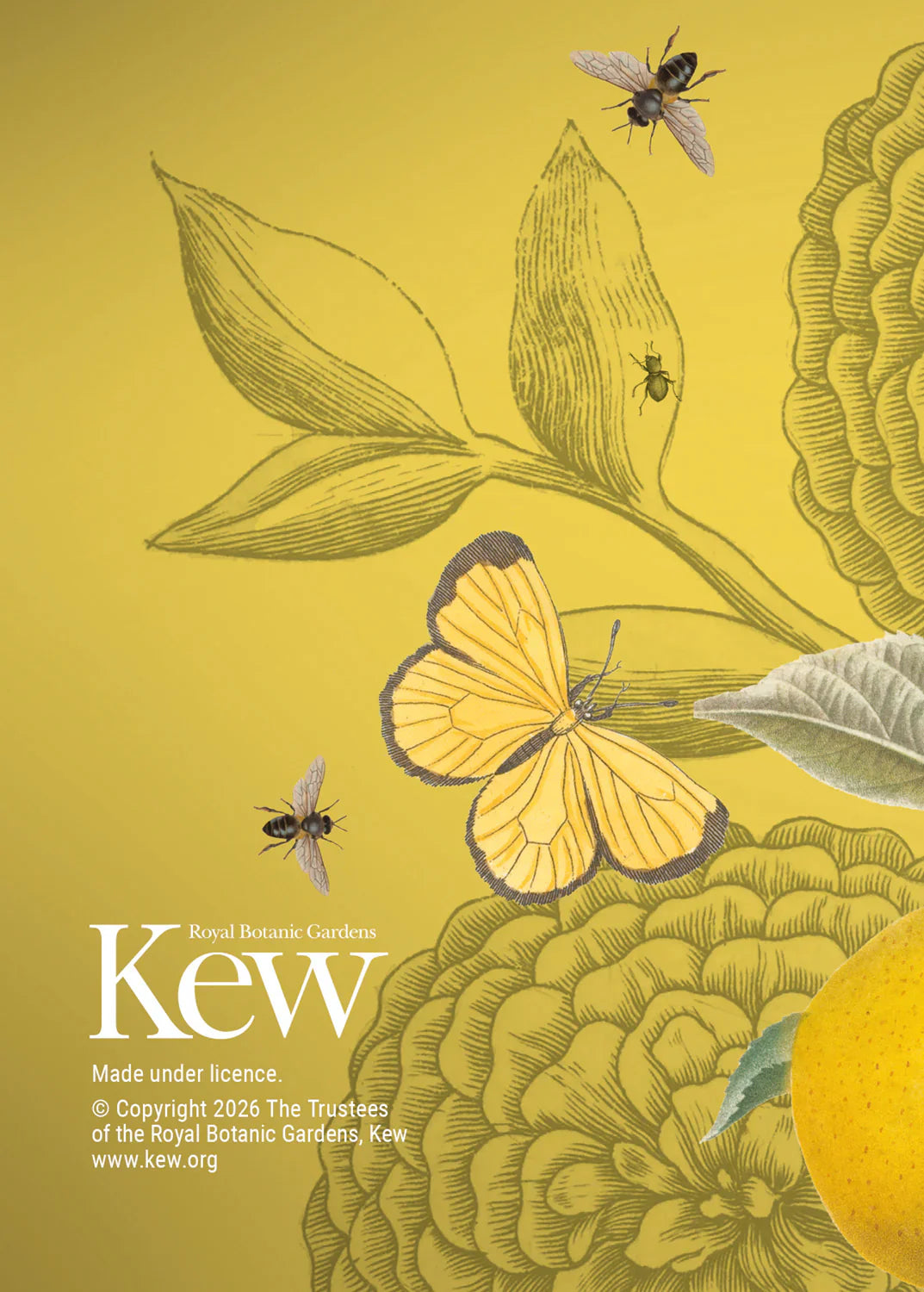 2027 Royal Botanic Kew Gardens A6 - Weekly Diary/Planner