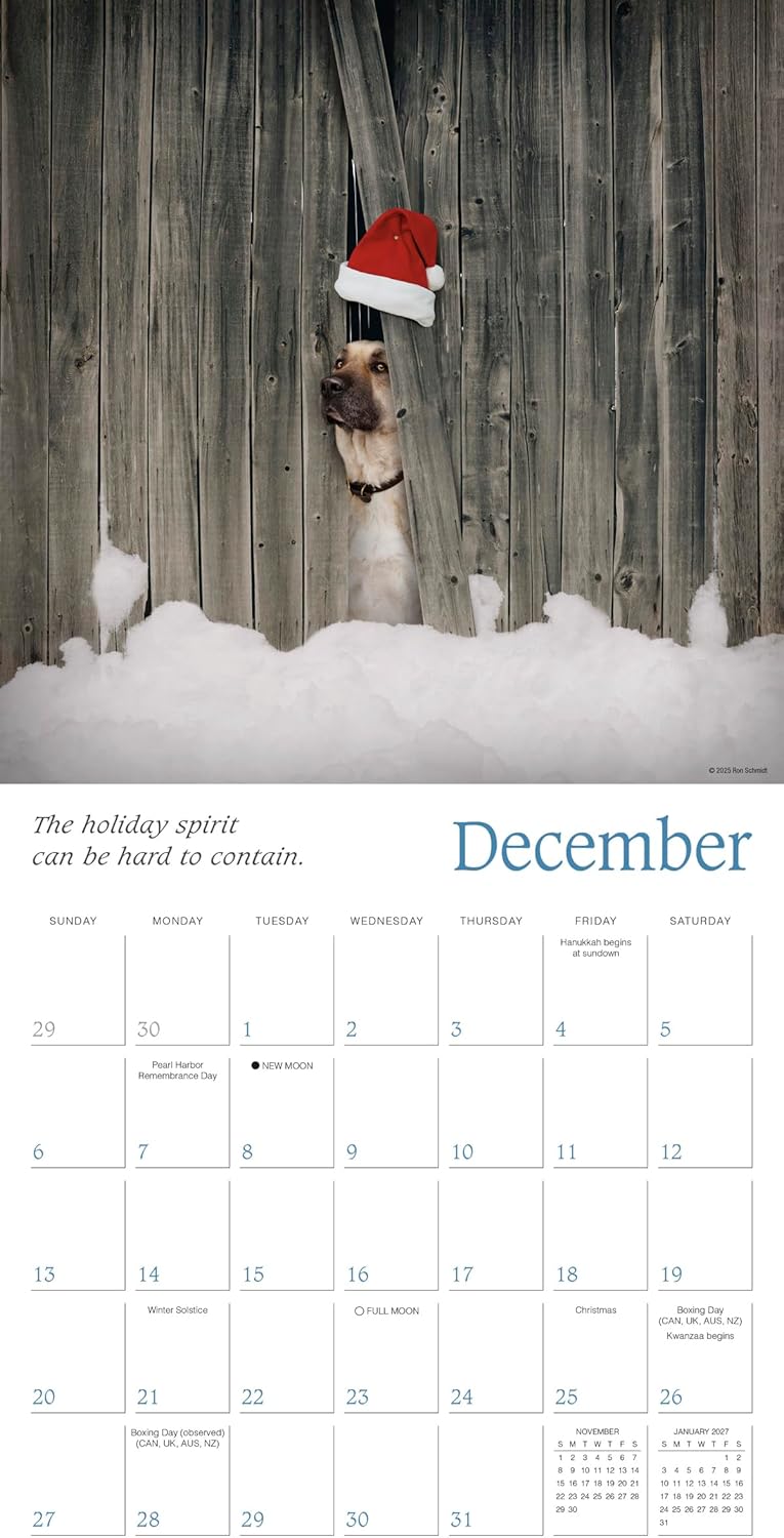 2026 Dogma: A Dog's Guide to Life - Square Wall Calendar