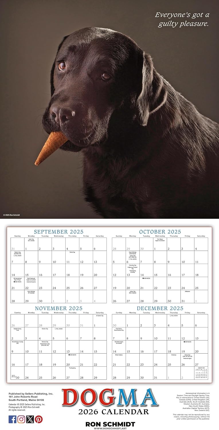 2026 Dogma: A Dog's Guide to Life - Square Wall Calendar